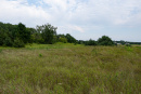 DSC01667.jpg