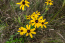 DSC01673.jpg