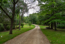 DSC01677.jpg