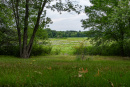 DSC01679.jpg