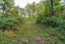 DSC02367.jpg