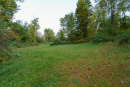 DSC02368.jpg