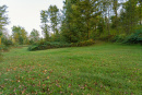 DSC02370.jpg