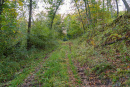 DSC02373.jpg