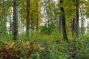 DSC02377.jpg