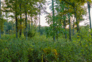 DSC02380.jpg