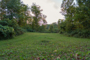 DSC02382.jpg