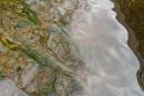 DSC05252.jpg