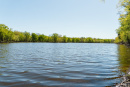 DSC05313.jpg