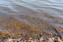DSC05314.jpg
