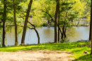 DSC05320.jpg