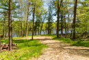 DSC05321.jpg