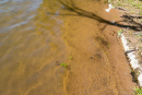 DSC05467-HDR.jpg