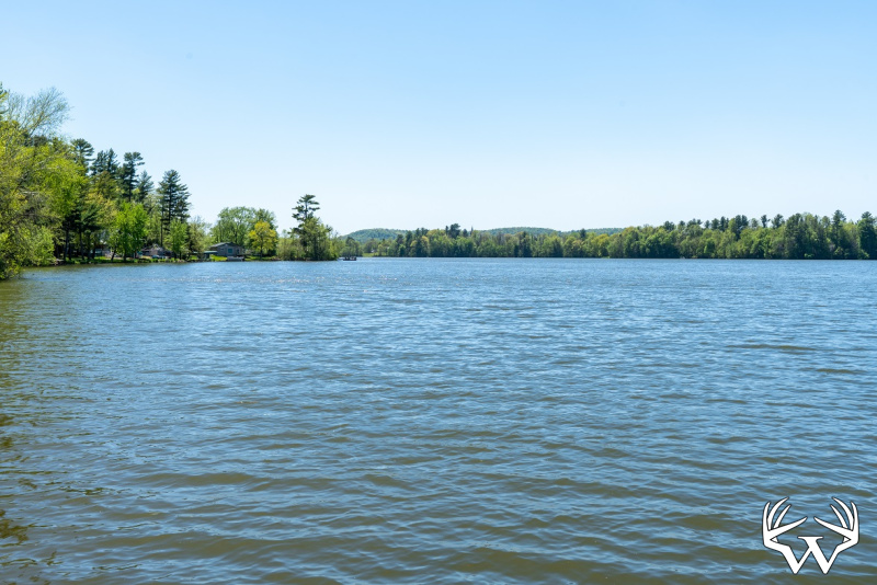 DSC05470-HDR.jpg