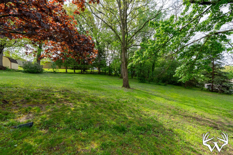 DSC05521-HDR.jpg