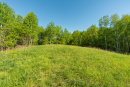 DSC05616.jpg