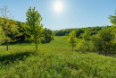 DSC05617.jpg
