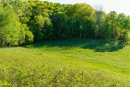 DSC05619.jpg