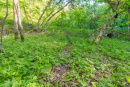 DSC05623.jpg