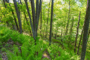 DSC05624.jpg