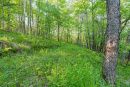 DSC05625.jpg