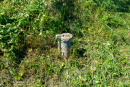 DSC05881-HDR.jpg