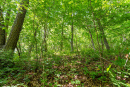DSC05888.jpg