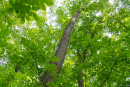 DSC06753.jpg