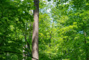 DSC06754.jpg