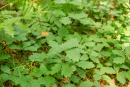DSC06756.jpg