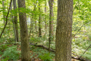 DSC06757.jpg
