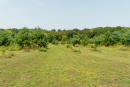 DSC06761.jpg