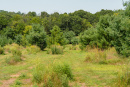 DSC06762.jpg
