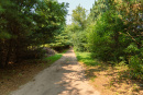 DSC06763.jpg