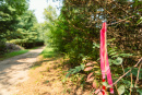 DSC06764.jpg