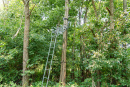DSC06765.jpg