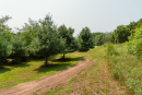 DSC06766.jpg