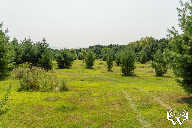 DSC06767.jpg