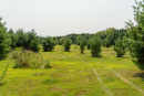 DSC06767.jpg