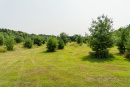 DSC06768.jpg