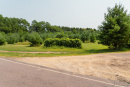 DSC06770.jpg