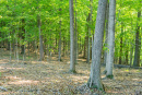 DSC06781.jpg