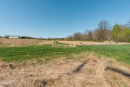 DSC07730.jpg