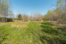 DSC07736.jpg