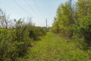 DSC07739.jpg