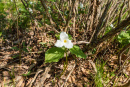 DSC07742.jpg