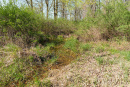 DSC07743.jpg