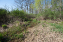 DSC07744.jpg