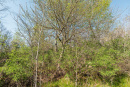 DSC07746.jpg
