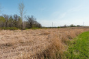 DSC07768.jpg